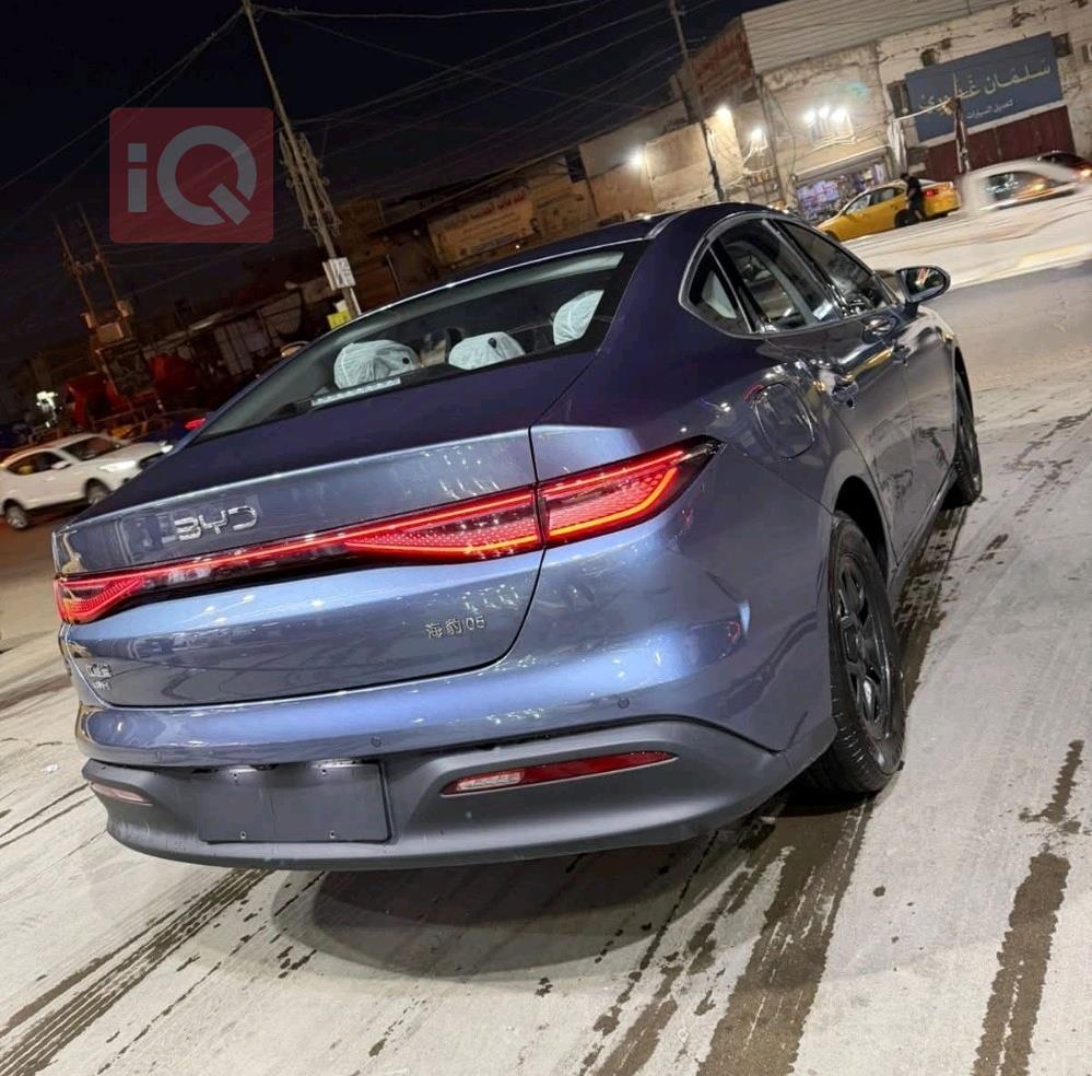 بي واي دي سيل 06 DM-i